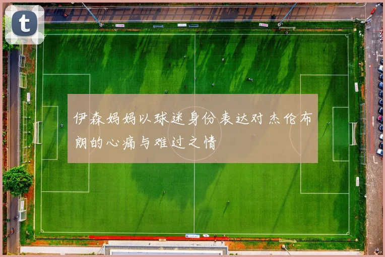 伊森妈妈以球迷身份表达对杰伦布朗的心痛与难过之情