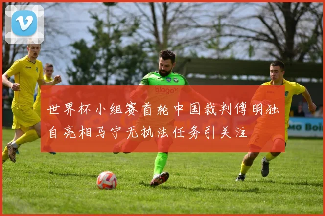 世界杯小组赛首轮中国裁判傅明独自亮相马宁无执法任务引关注