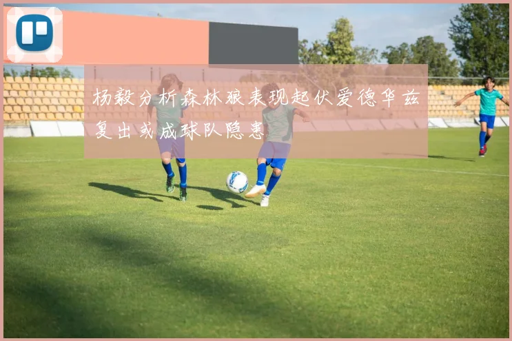 杨毅分析森林狼表现起伏爱德华兹复出或成球队隐患
